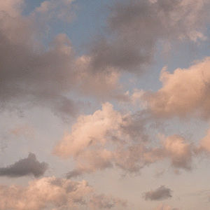 Meet your Posher, Ozzy